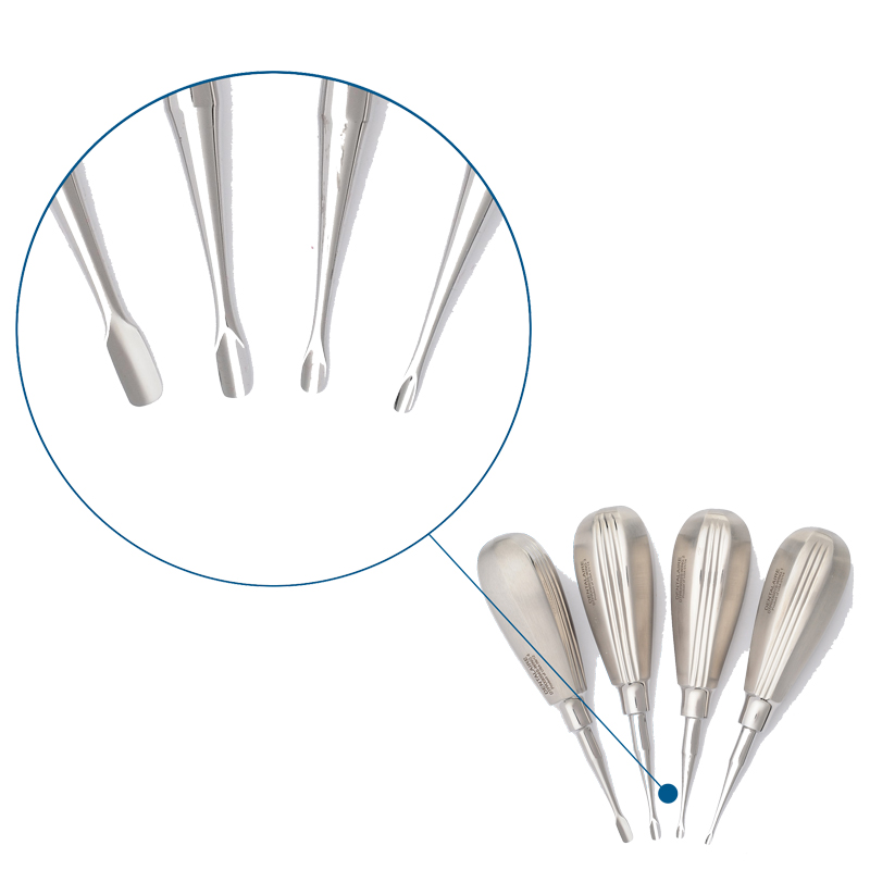 Veterinary Dentistry Elevators, Levitators Dentalaire