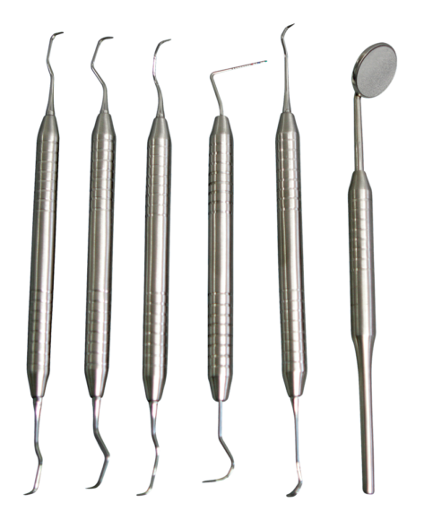 Instrument Tray SURGICAL DENTAL VETERINARY INSTRUMENTS 