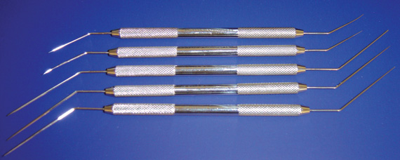 Holmstrom plugger/spreaders for veterinary dentistry