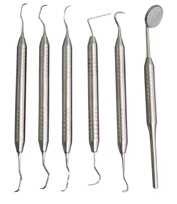 Veterinary Dental Instrument Trays & Sets Dentalaire