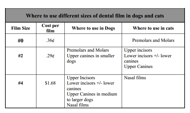 X Ray Film Speed Chart